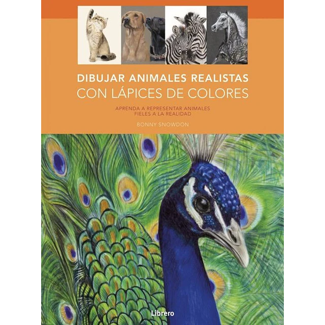 Dibujar animales realistas con lapices de colores