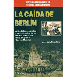 La caida de berlin