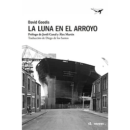 La luna en el arroyo