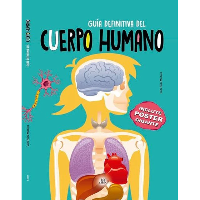 Guía definitiva del cuerpo humano