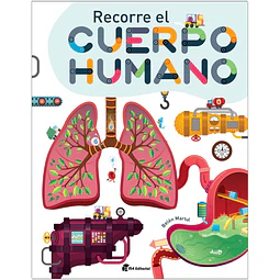 Recorre el cuerpo humano