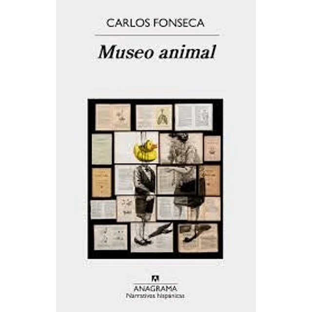 Museo animal