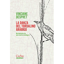 La danza del tordalino arábigo