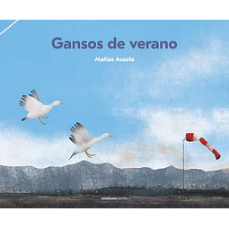 Gansos de verano