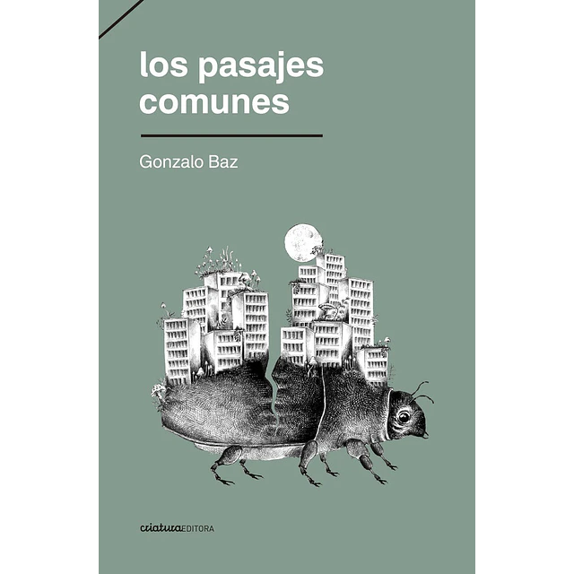 Los pasajes comunes