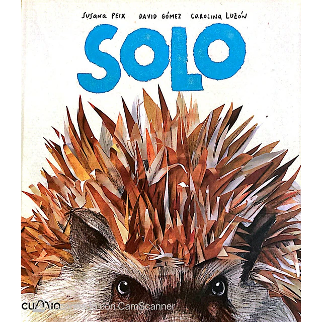 Solo