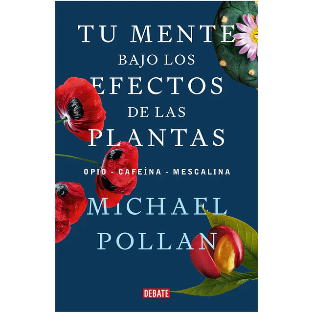 Tu mente bajo los efectos de las plantas