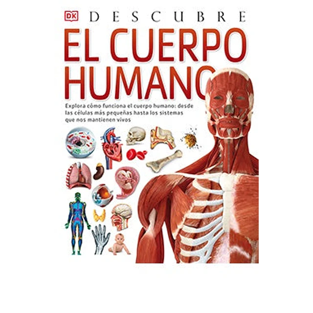Descubre el cuerpo humano