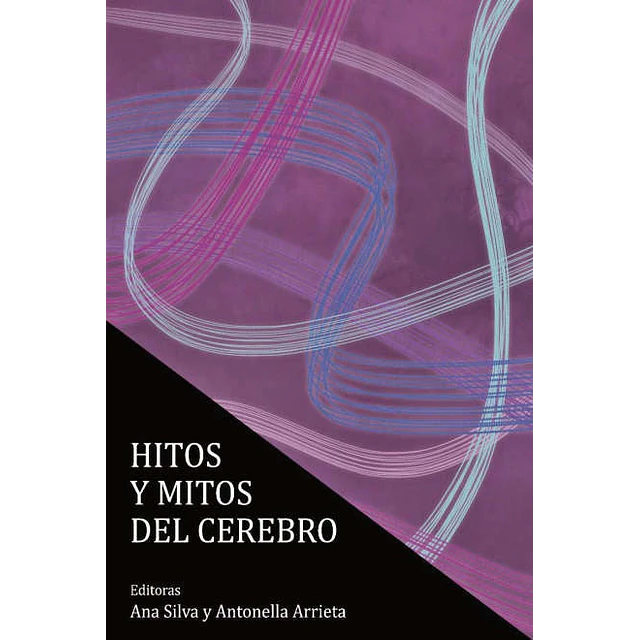 Hitos y mitos del cerebro