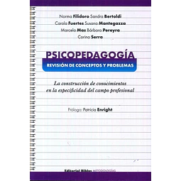 Psicopedagogía: revisión de conceptos y problemas.