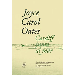Cardiff junto al mar