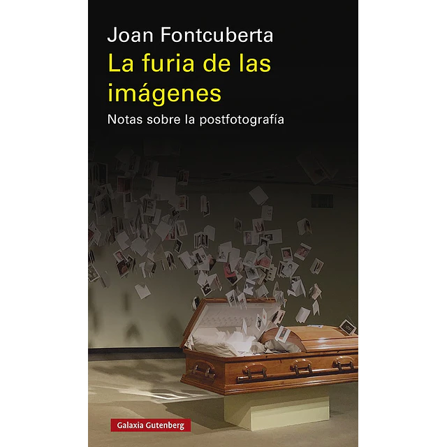 La furia de las imágenes