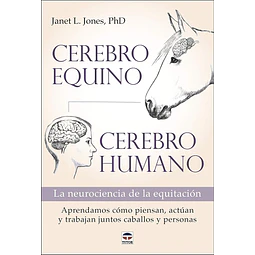 Cerebro equino - Cerebro humano