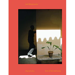 Joel Meyerowitz: Out of the Darkness