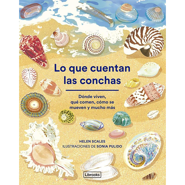 Lo que cuentan las conchas