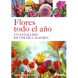 Flores todo el año