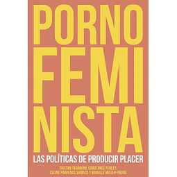 Porno feminista. Las políticas de producir placer