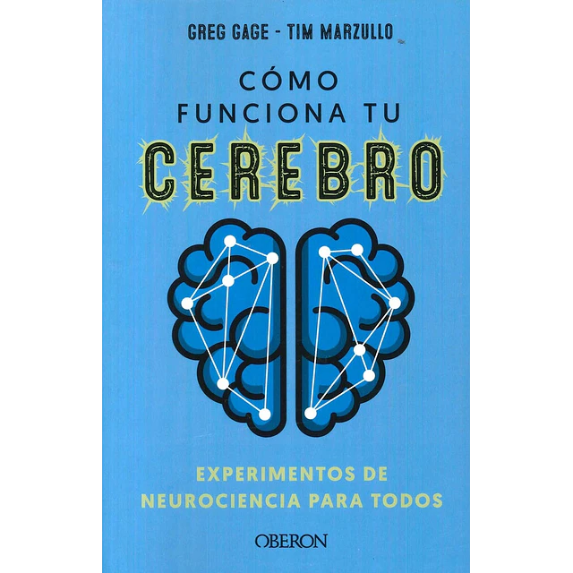 Cómo funciona tu cerebro