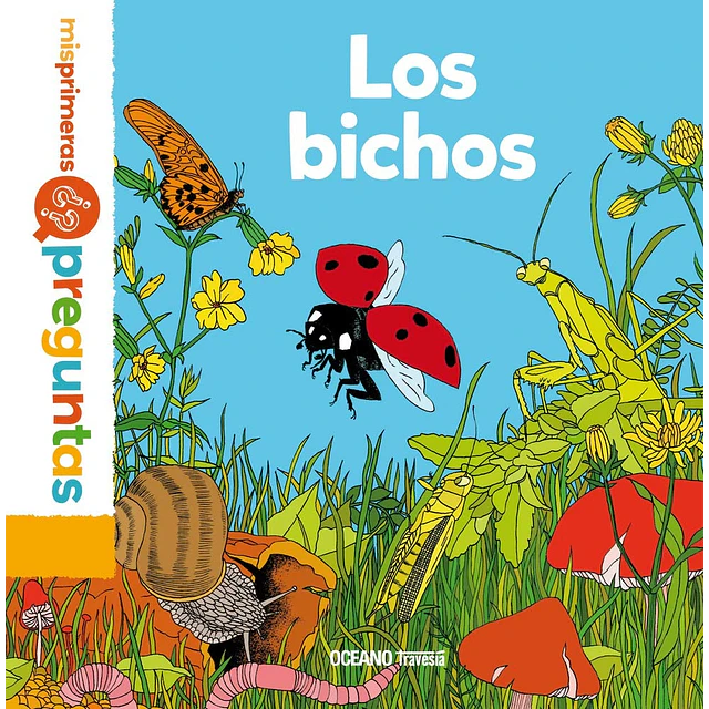 Los bichos. Mis primeras preguntas