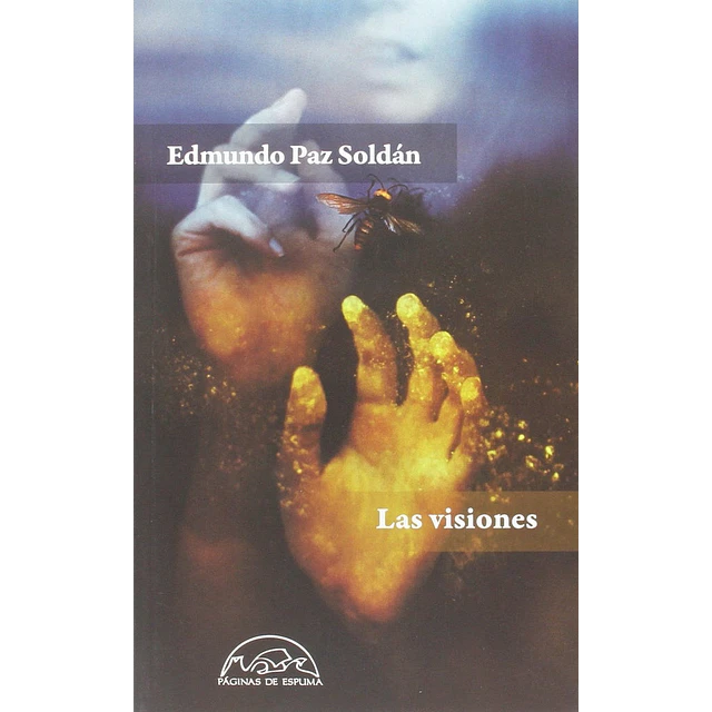 Las visiones