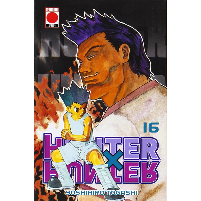 Hunter x hunter 16