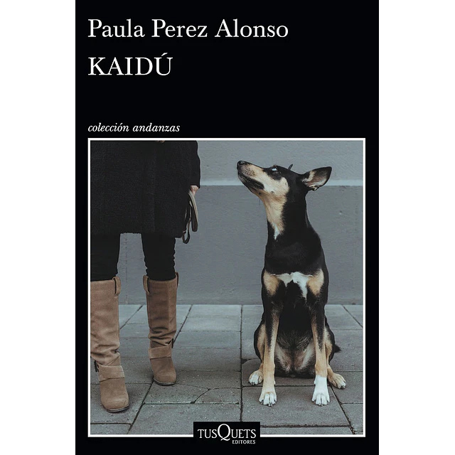 Kaidú