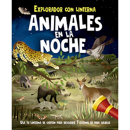 El explorador con linterna. Animales en la noche