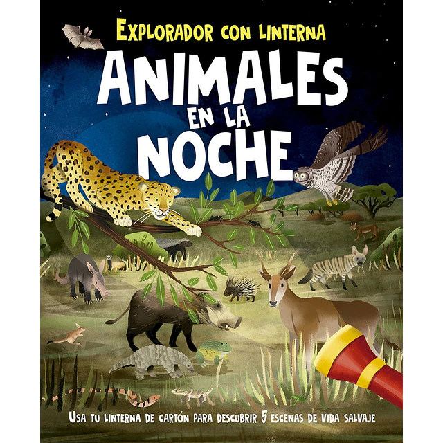 El explorador con linterna. Animales en la noche
