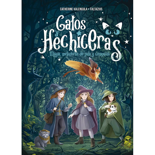 Gatos hechiceras