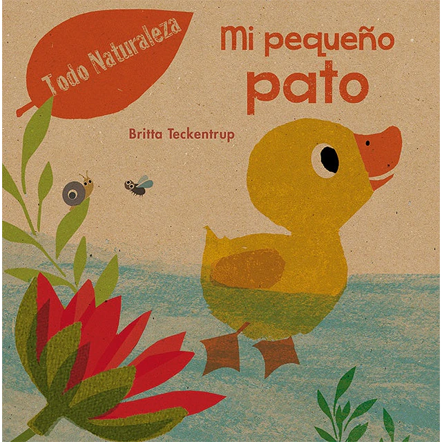 Mi pequeño pato