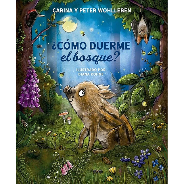 ¿Cómo duerme el bosque?