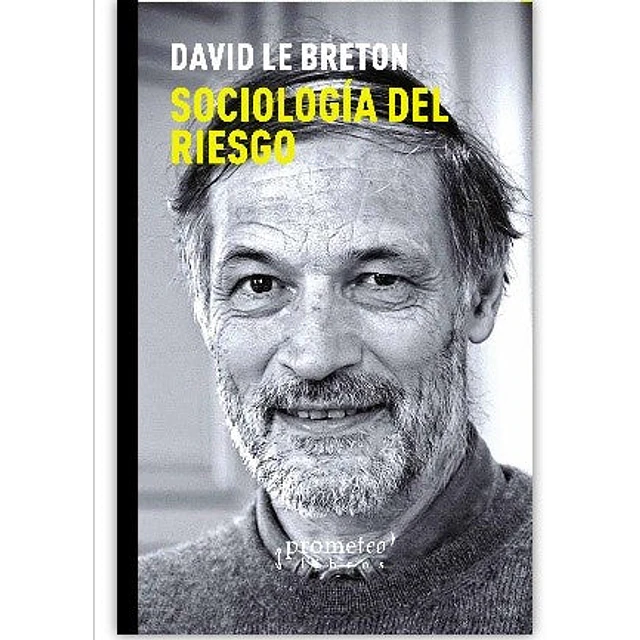 Sociología del riesgo