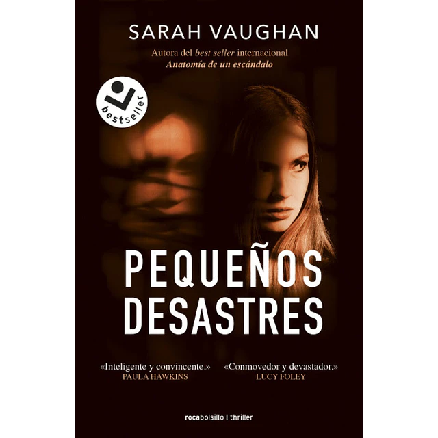 Pequeños desastres