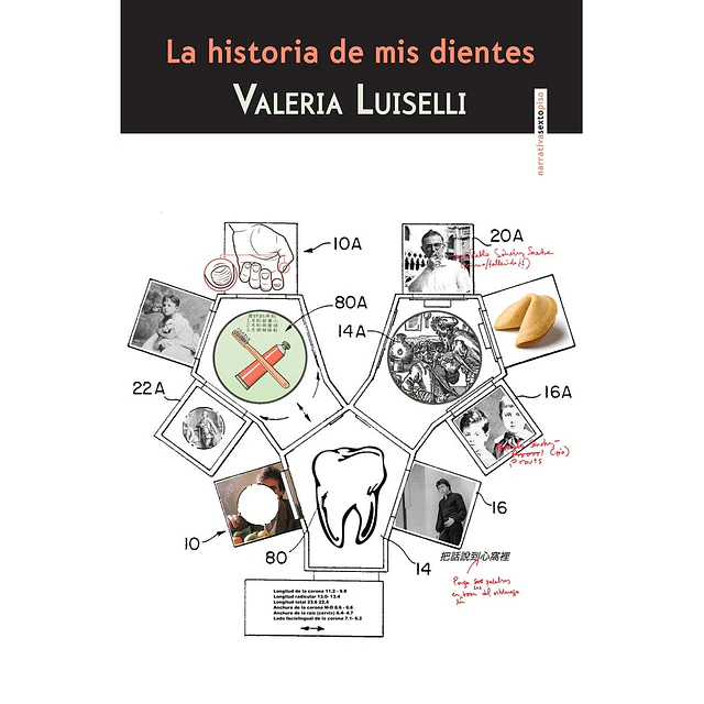 La historia de mis dientes