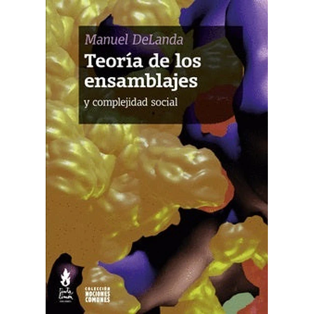 Teoría de los ensamblajes y complejidad social