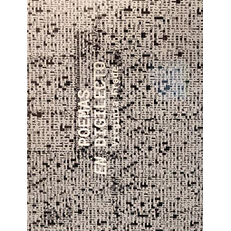 Poemas en digilecto