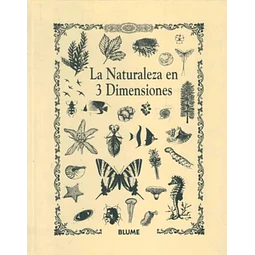 Naturaleza en 3 dimensiones. Tres