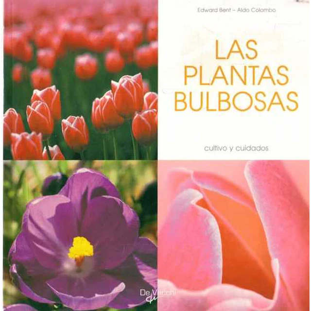 Las plantas bulbosas