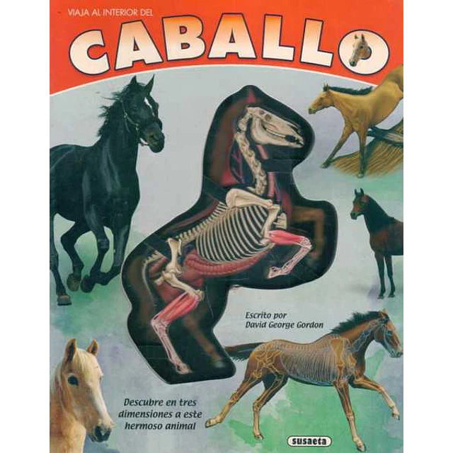 Viaje al interior del caballo