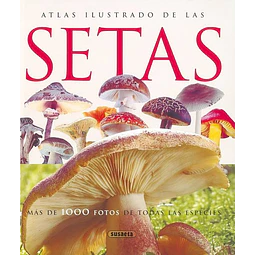Atlas ilustrado de las setas