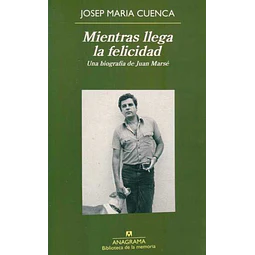 Mientras llega la felicidad