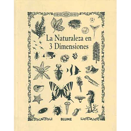 La naturaleza en 3 dimensiones