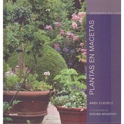 Plantas en macetas. Jardineria en casa