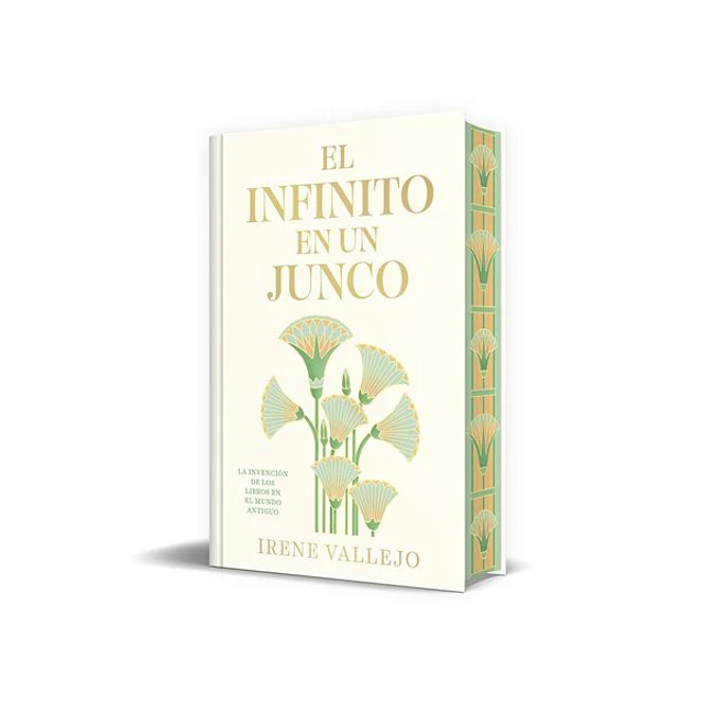 El infinito en un junco