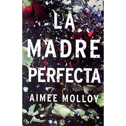 La madre perfecta
