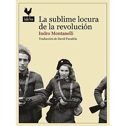 La sublime locura de la revolucion