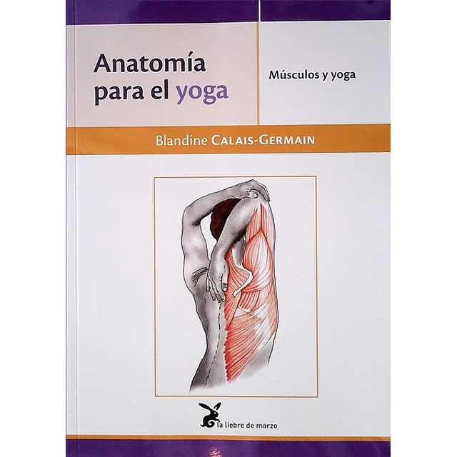 Anatomia para el yoga