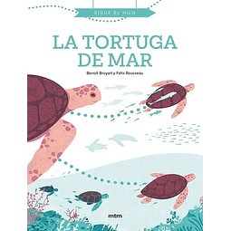 La tortuga de mar
