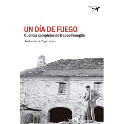 Un dia de fuego