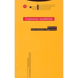 Cuestiones metafisicas. Enciclopedia iberoamericana de filosofia 26
